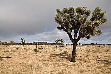 休闲动作解谜游戏《Q2 HUMANITY》现已正式推出 获得好评