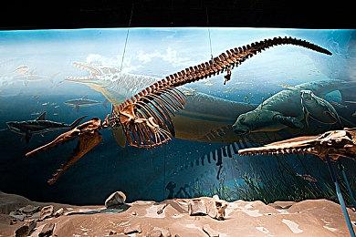 晚餐已备好：《同舟共济》欢迎各位愚人品尝今日免费更新“鱼和船舶”